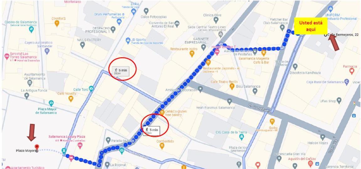 Residencial Leyra, Piso Centrico De 6 Habitaciones, 8 Camas سلامنكا المظهر الخارجي الصورة